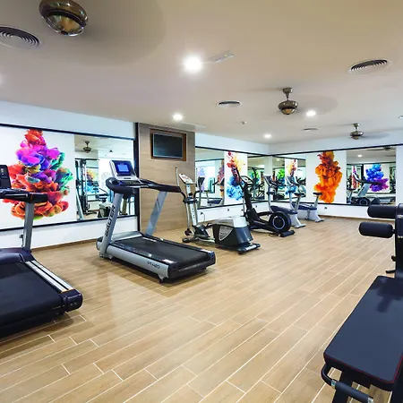 Отель Riu Costa Del Sol 4*